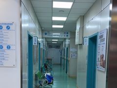 -北京观赏动物医院·24小时大型综合·猫专科·异宠专科