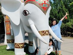 -永定河休闲森林公园