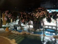 -中铁花水湾温泉酒店(大邑店)