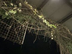 -蚝哥花姐湛江烤生蚝(美丽湾市场店)