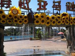 -平江亚马逊水上乐园