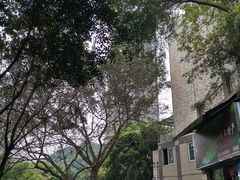 -晋愉绿岛