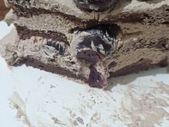 -鹿里烘焙LulyBaking(东二环泰禾广场店)