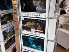 -怀托摩萤火虫洞