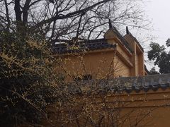 -宝通禅寺