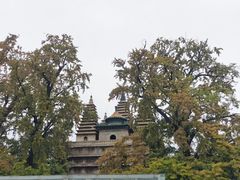 -北京石刻艺术博物馆(五塔寺)