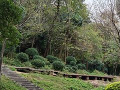 -晓港公园