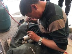 -拉萨城关区古艺建筑美术公司