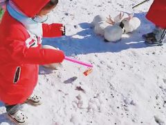 -绿野森林乐园冰雪季