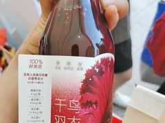 -野萃山·潮汕厚果汁(十亩地店)