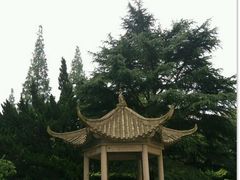 -复旦大学附属华山医院(总院)