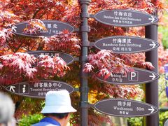 -宁波浙东大竹海景区