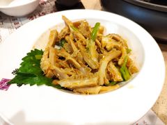 麻辣金钱肚丝-点都德(汇盈广场店)