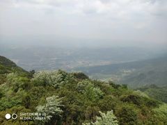 -武陵山森林公园