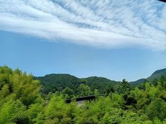 -宁海安岚·南溪阁全日餐厅