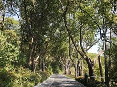 -云溪植物园