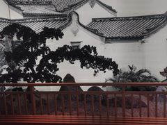-如轩·海鲜砂锅粥·潮汕菜(海珠店)