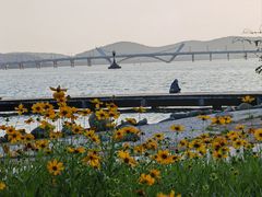 -高子水居