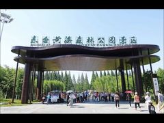 -黄海国家森林公园