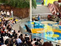 -海合安成都极地海洋公园