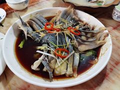-煲来饱去冷水鱼