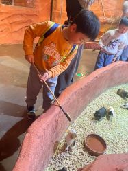 -Zoolung Zoolung动物主题公园(海信广场店)