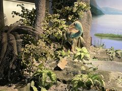 -辽宁古生物博物馆