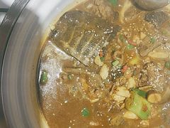 -甲鱼张甲鱼铺子(观沙岭店)