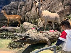 -陕西自然博物馆