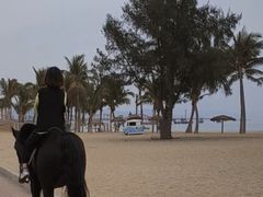 -玫瑰海岸文化旅游度假区