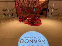 -广州奥园喜来登酒店