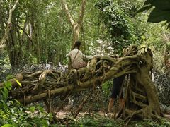 -中国科学院西双版纳热带植物园