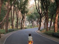 -东湖落雁景区