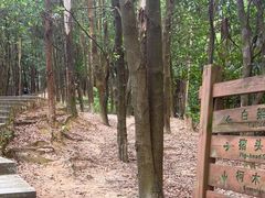 -火炉山森林公园