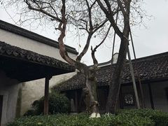 -乌镇东栅景区