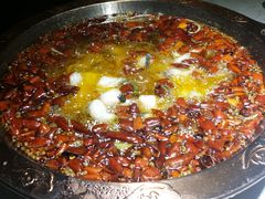 -雲蜀龙阁·金牌水煮鱼(方庄店)