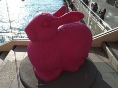-海港城