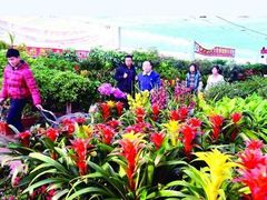 -秦美花卉(天朗·莱茵小城2期店)