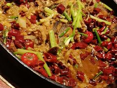 -老板恋上鱼(环山路店)