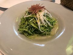 火丝银芽豆苗-江南雅厨(李公堤店)
