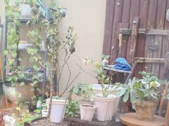 -About Bistro關於·泰式家庭料理