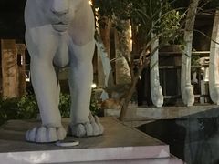 -清迈夜间动物园