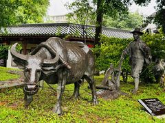 -广州神农草堂中医药博物馆