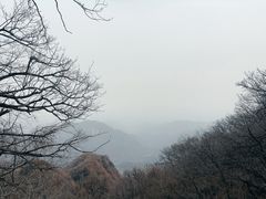 -栾川竹海野生动物园