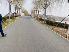 -天津东丽湖风景区