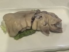 -丁老爷子苏香圆