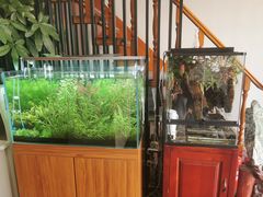 -繁花足道(梅江店)