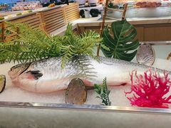 -冀粤香海鲜自助餐厅(西美五洲店)
