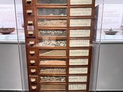 -北京大学赛克勒考古与艺术博物馆