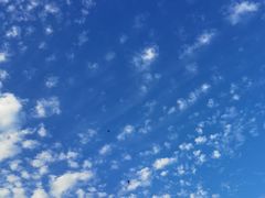 -深圳龙潭公园